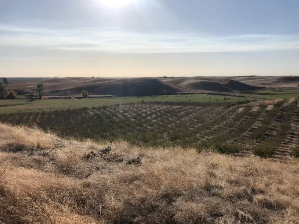 $495,000 | 17981 Los Cerritos Road, Snelling, CA 95369