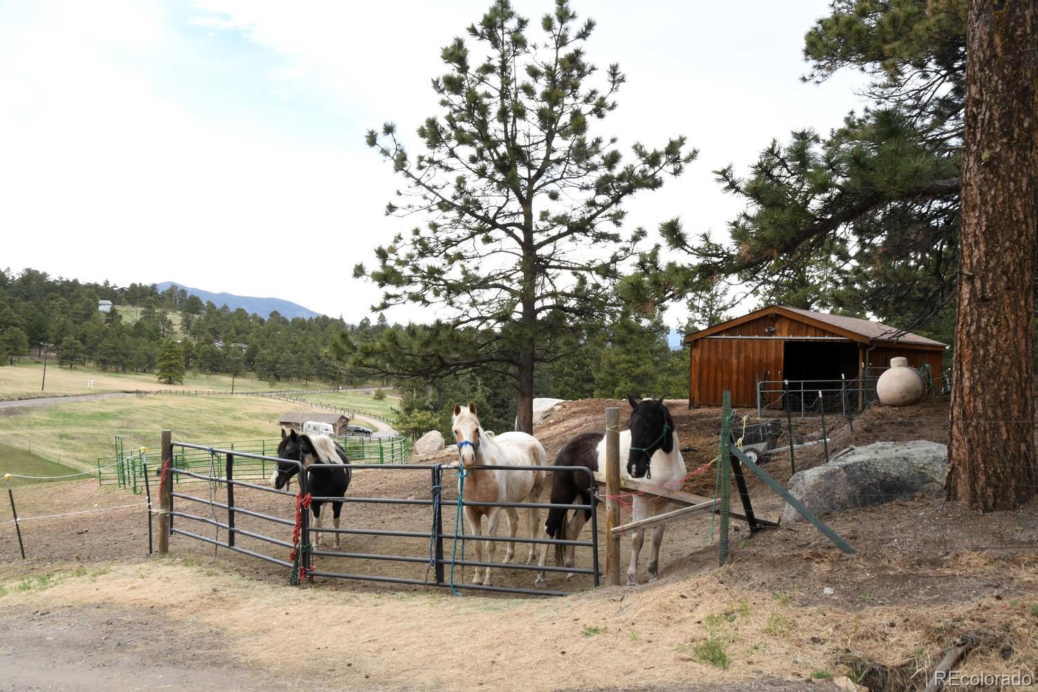 6160 Kinney Creek Road Evergreen, CO 80439 - Photo 31 of 34 Gallery Image 31