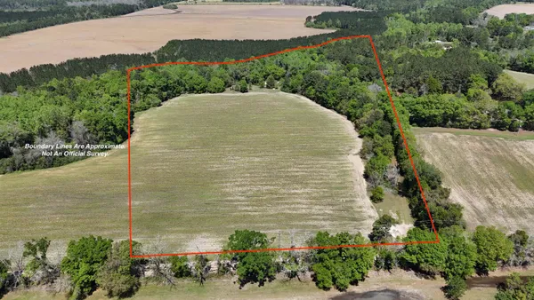 $221,000 | 1975 Rook Road, Ochlocknee, GA 31773