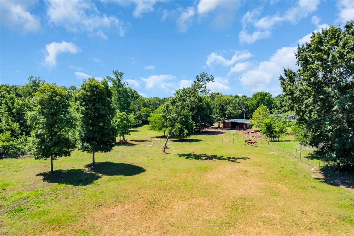 6263 Windrow Road Rockvale, TN 37153 - Photo 52 of 55