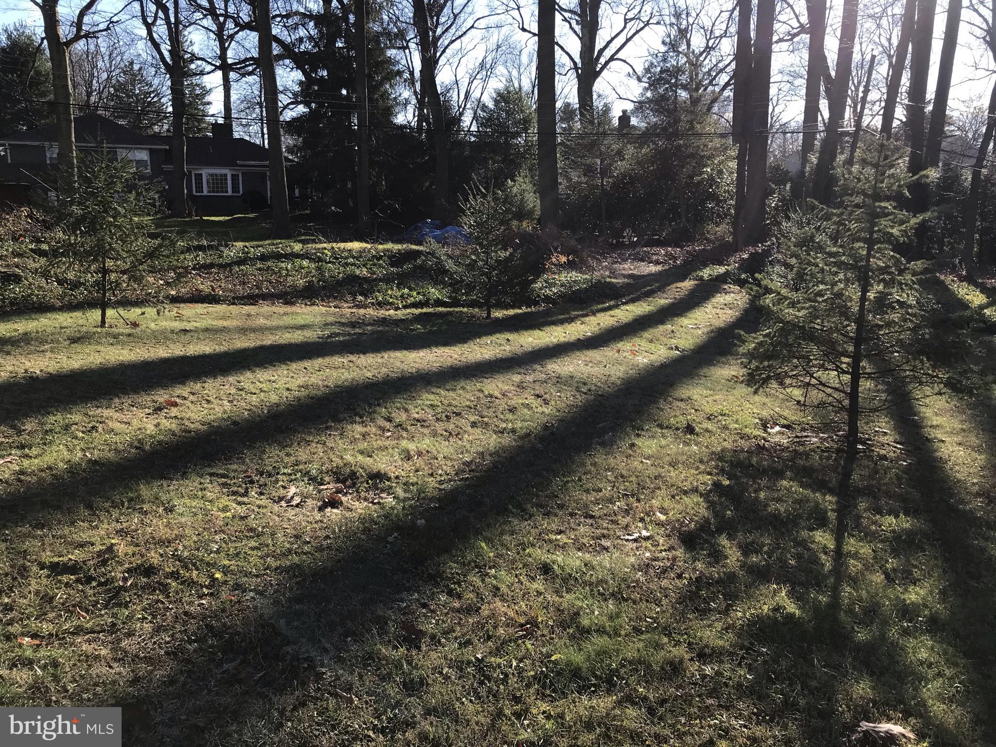 278 Orchard Road Paoli, PA 19301 - Photo 29 of 30 Back Yard