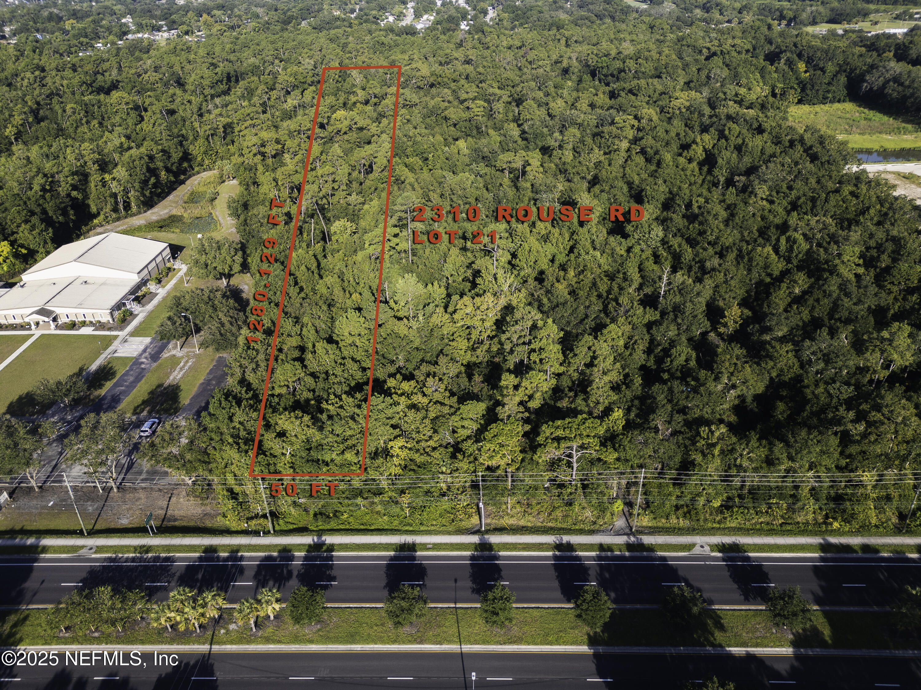 2310 Rouse Road Orlando, FL 32817 - Photo 4 of 14 a view of swimming pool with a yard and plants