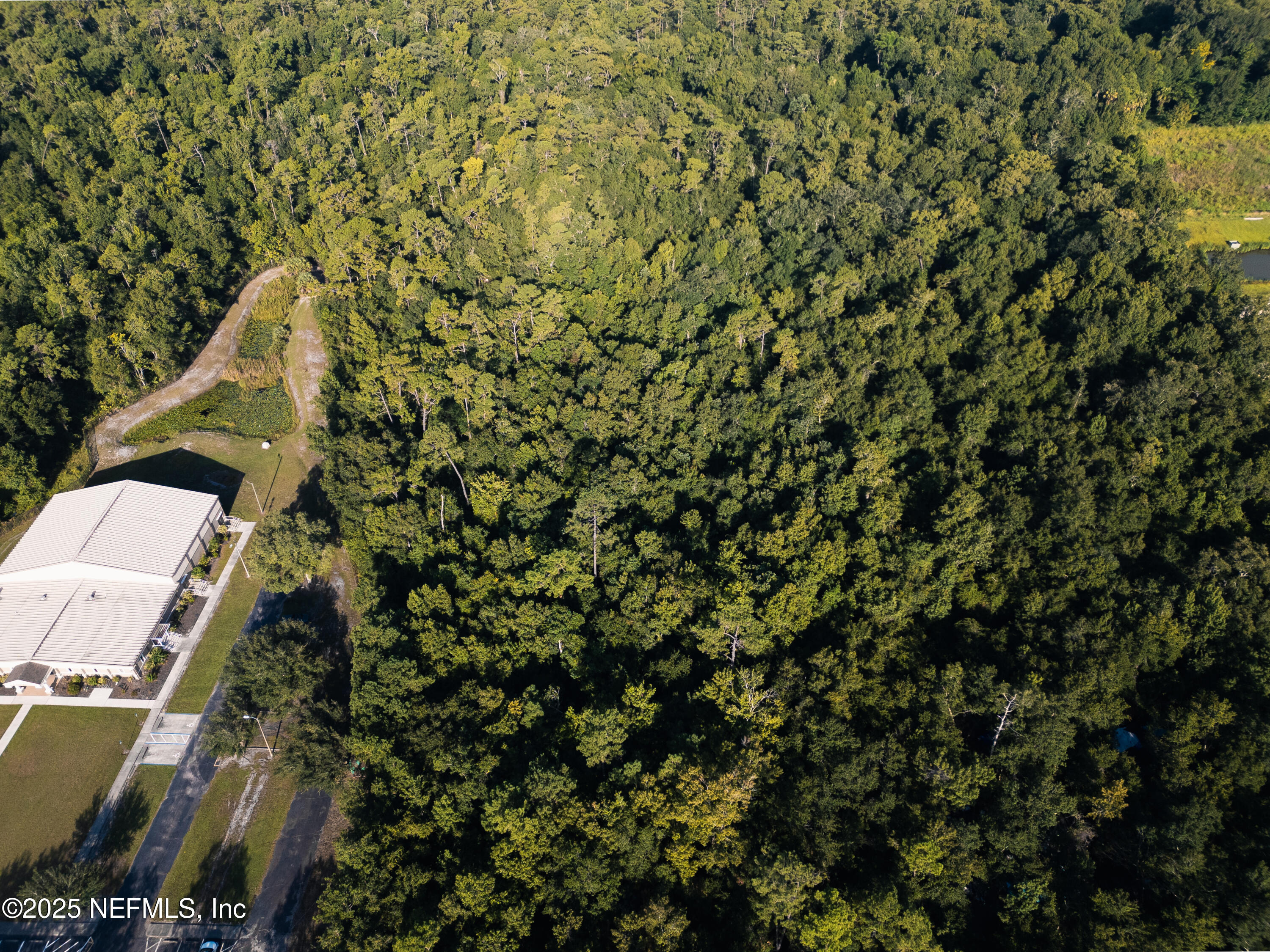 2310 Rouse Road Orlando, FL 32817 - Photo 8 of 14 a view of a city with lush green forest