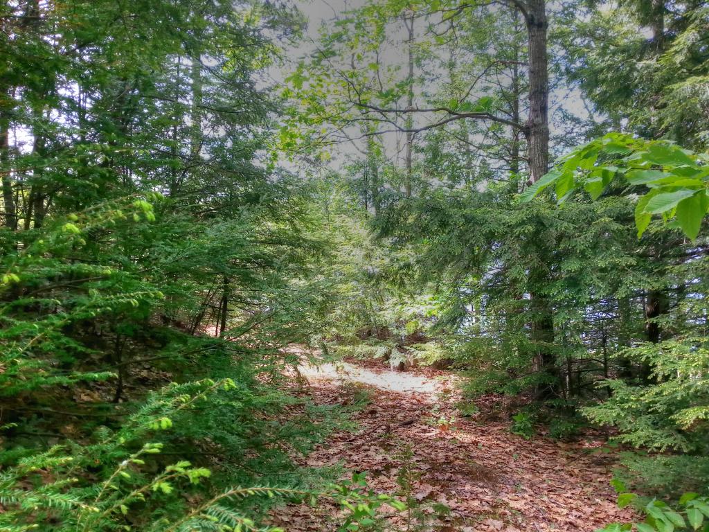 Lot 65 Meadow Pond Road Gilmanton, NH 03237 - Photo 22 of 36