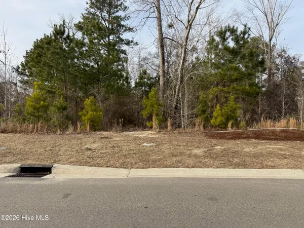 $225,000 | 3422 Belle Meade Way Northeast, Leland, NC 28451