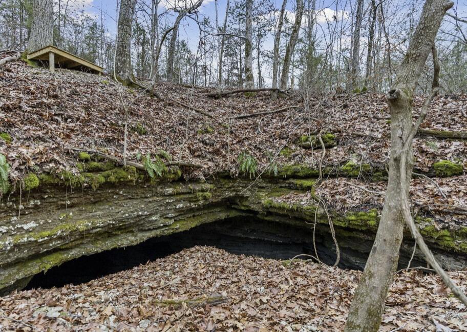 893 Hidden Springs Lane Reeds Spring, MO 65737 - Photo 73 of 83 893-Hidden-Springs-Ln-Woodland-Paths