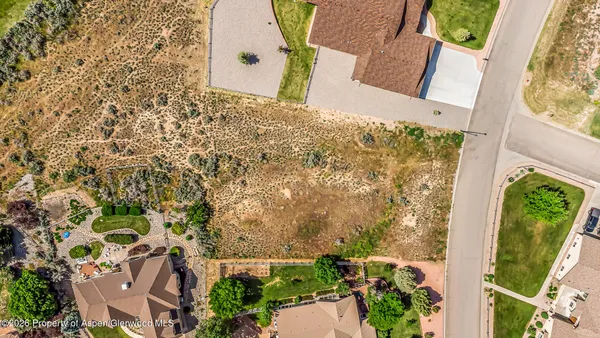 view of a backyard