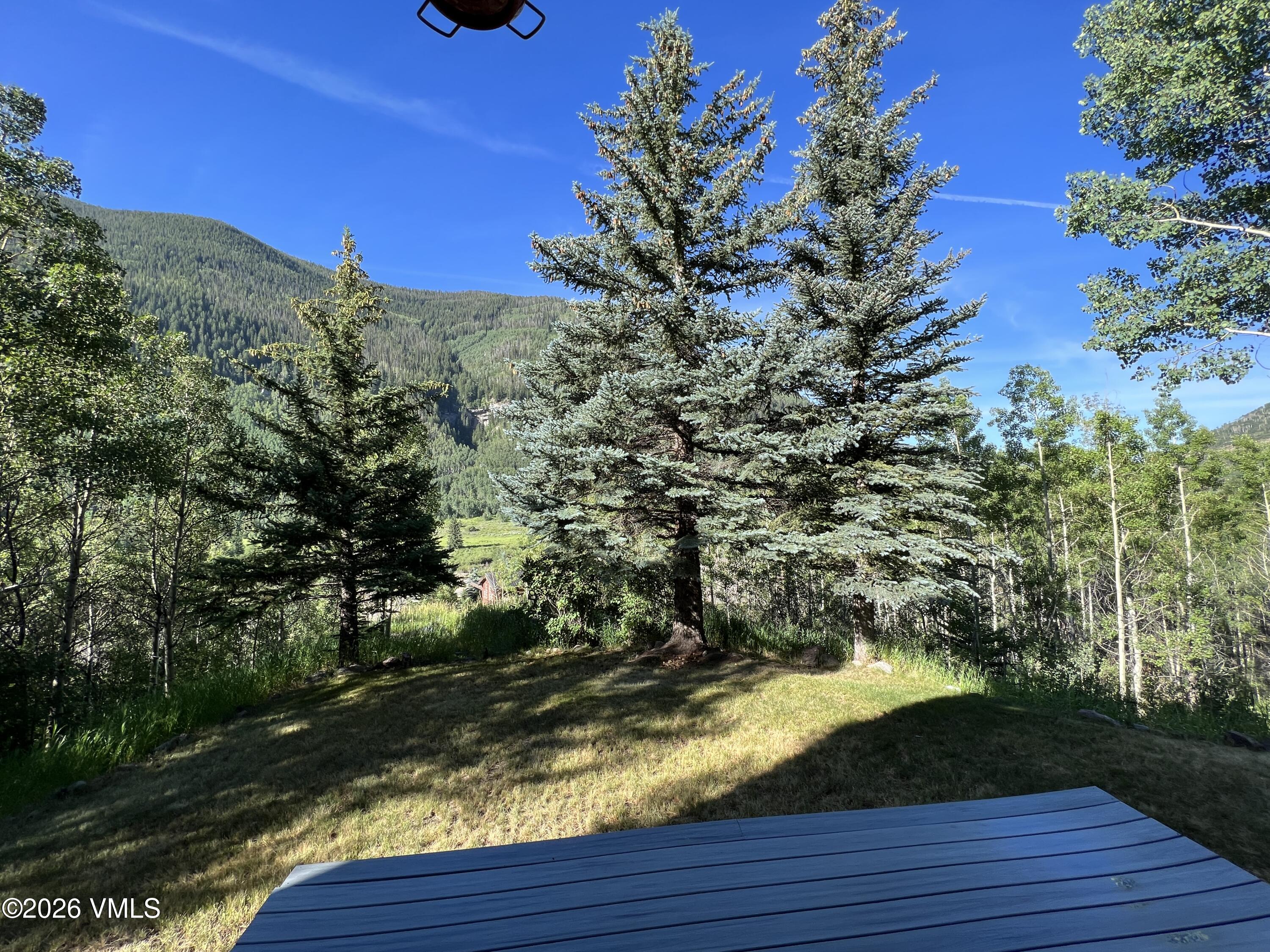 3255 Katsos Ranch Road Vail, CO 81657 - Photo 4 of 4 IMG_1668