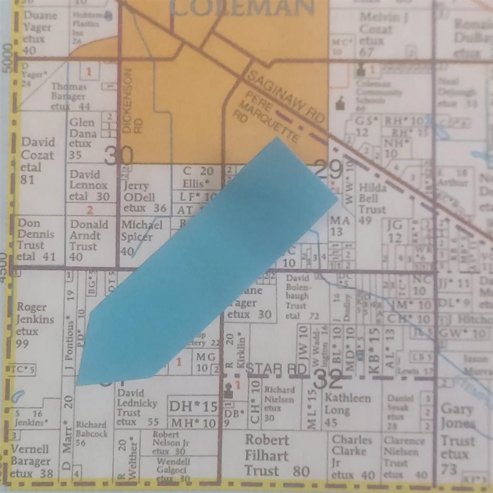 Tbd West Burns Road Coleman, MI 48618 - Photo 6 of 6