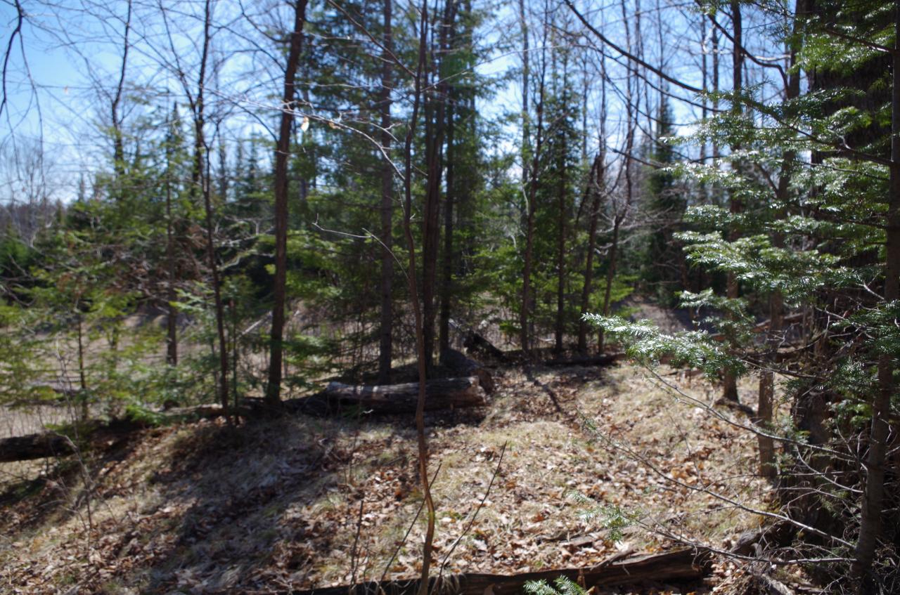 Lot 3 Double Ee Road Park Falls, WI 54552 - Photo 13 of 28 Gallery Image 13