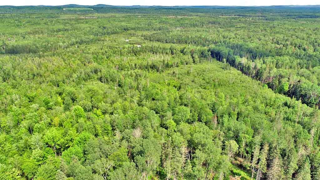 808 Skedgell Road Orient, ME 04471 - Photo 35 of 100 land-me-cary-aroostook