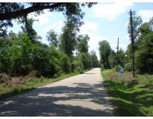 0 North Fitzmorris Road Ext Road Covington, LA 70435 - Photo 3 of 6 Gallery Image 3