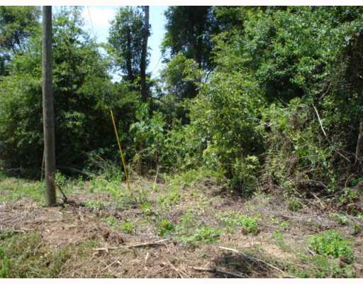 0 North Fitzmorris Road Ext Road Covington, LA 70435 - Photo 4 of 6 Gallery Image 4