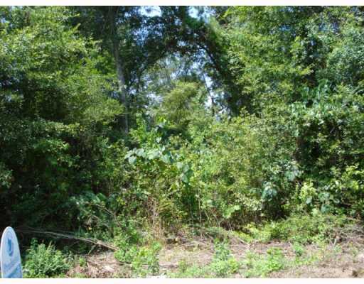 0 North Fitzmorris Road Ext Road Covington, LA 70435 - Photo 5 of 6 Gallery Image 5