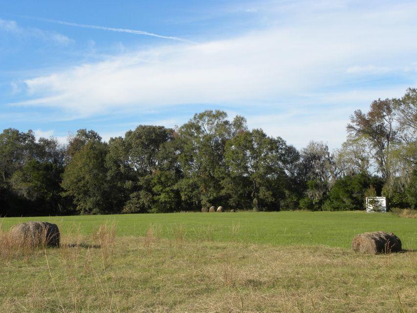 576 Featherbed Road Round O, SC 29474 - Photo 2 of 6 576 Featherbed Road