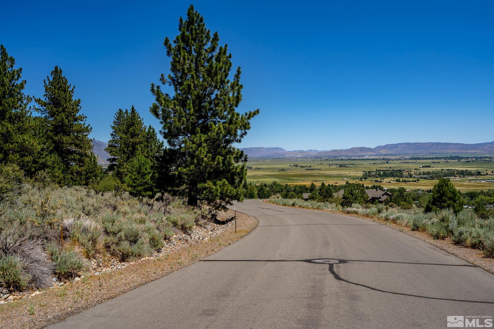 87 Five Creek Road Gardnerville, NV 89460 - Photo 3 of 21 a view of a road with a yard
