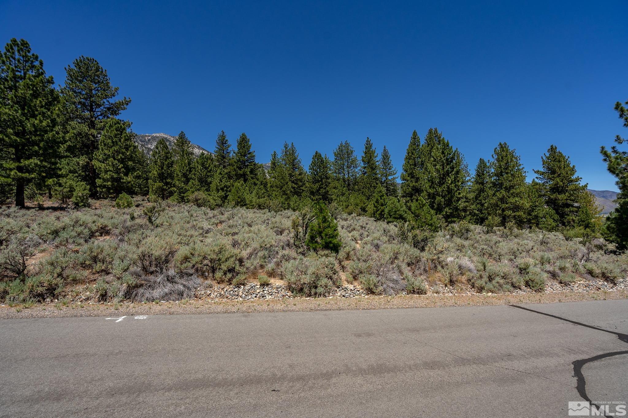 87 Five Creek Road Gardnerville, NV 89460 - Photo 4 of 21 a view of a yard with a tree