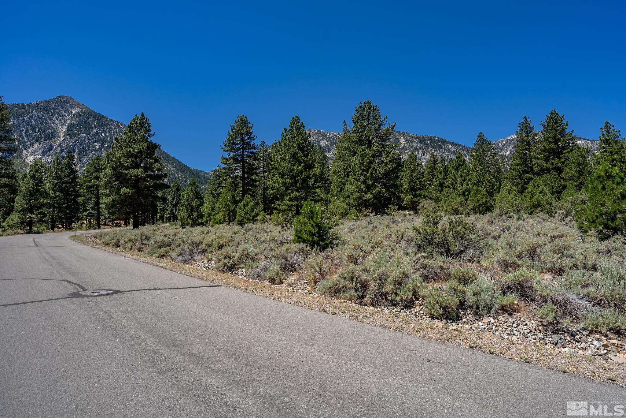 87 Five Creek Road Gardnerville, NV 89460 - Photo 5 of 21 a view of a road with a building in the background