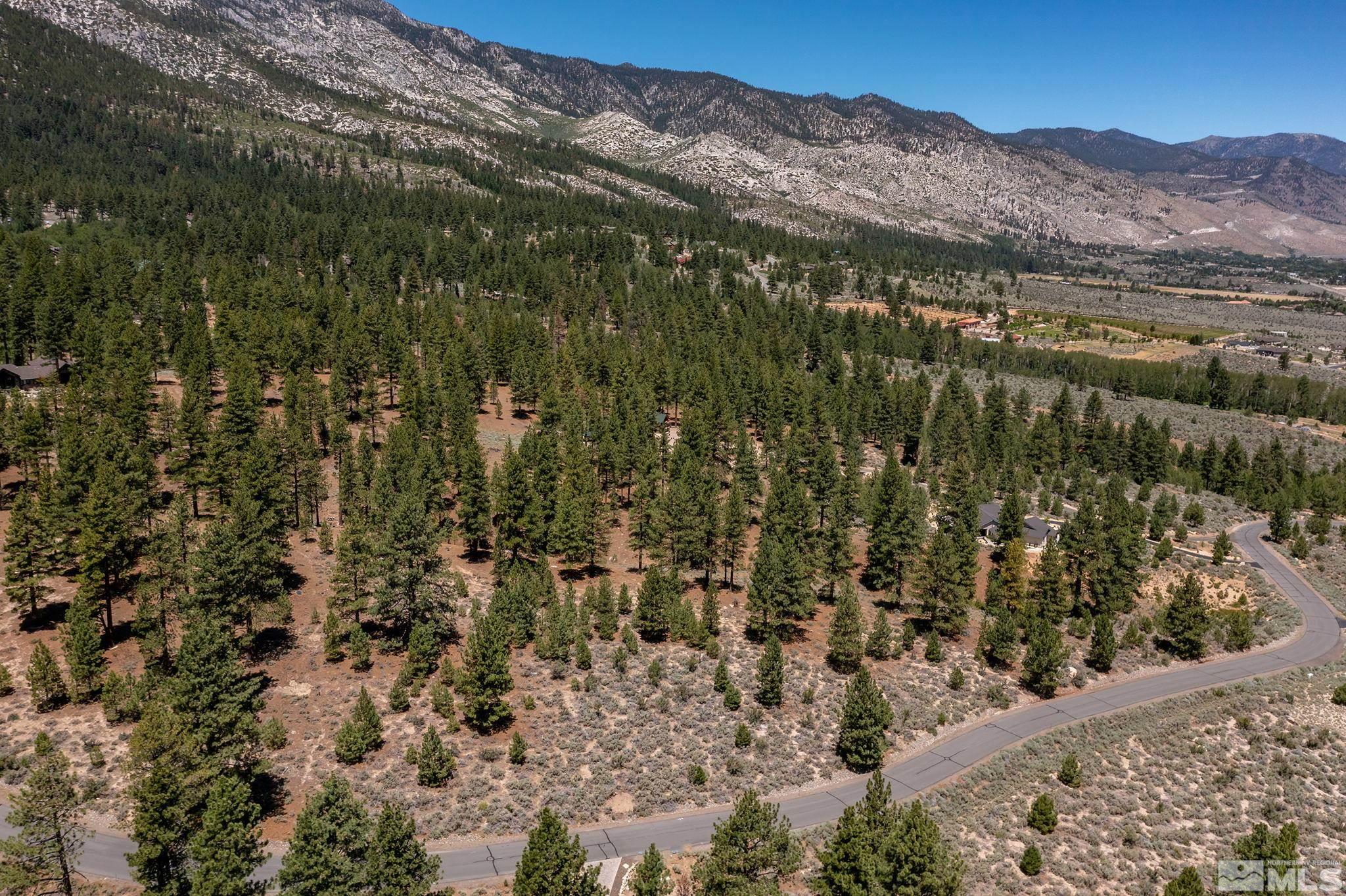87 Five Creek Road Gardnerville, NV 89460 - Photo 8 of 21 a view of a lot of trees and mountains