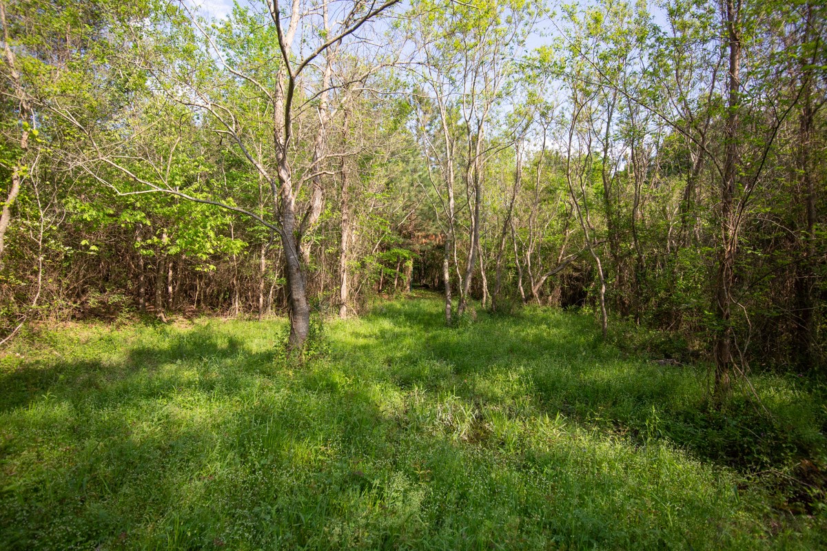 Tbd Calvary Road Willis, TX 77318 - Photo 21 of 22 Gallery Image 21