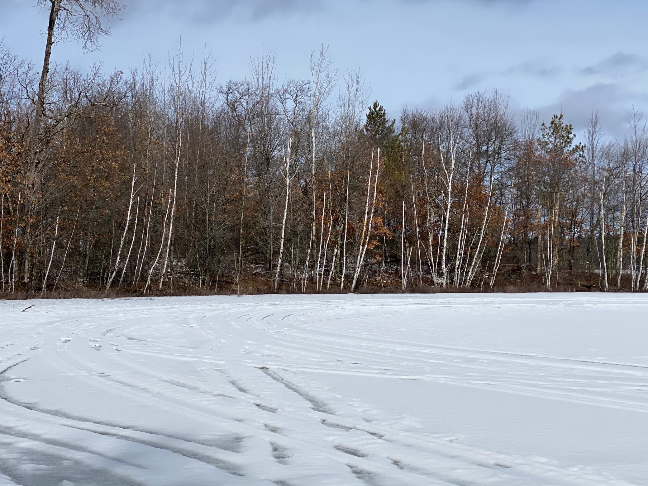 Lot 1 South Blue Ribbon Trail Gordon, WI 54838 - Photo 1 of 1 Gallery Image 1