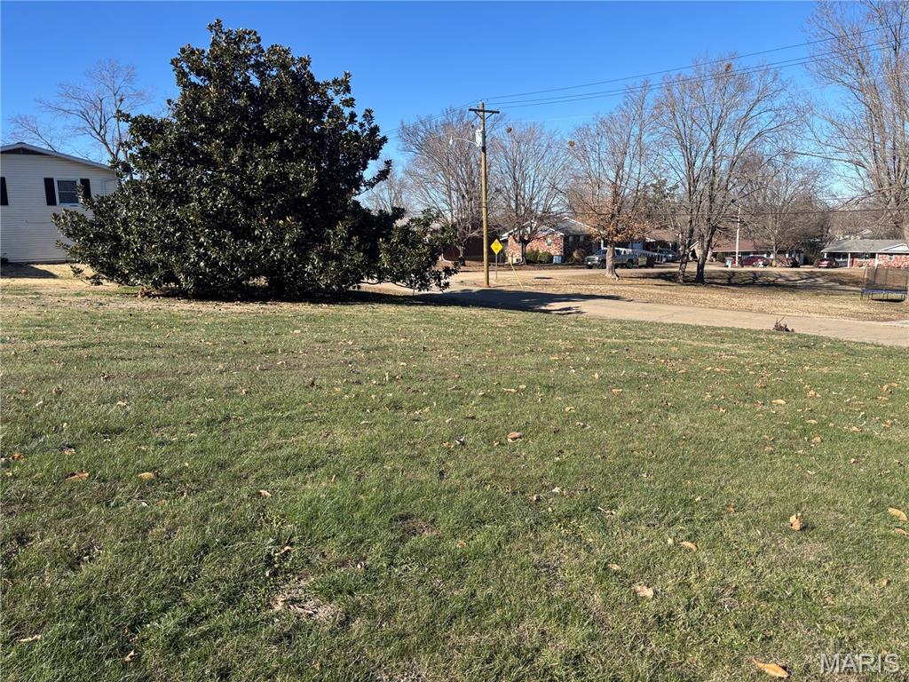 702 Walnut Street Fredericktown, MO 63645 - Photo 56 of 59