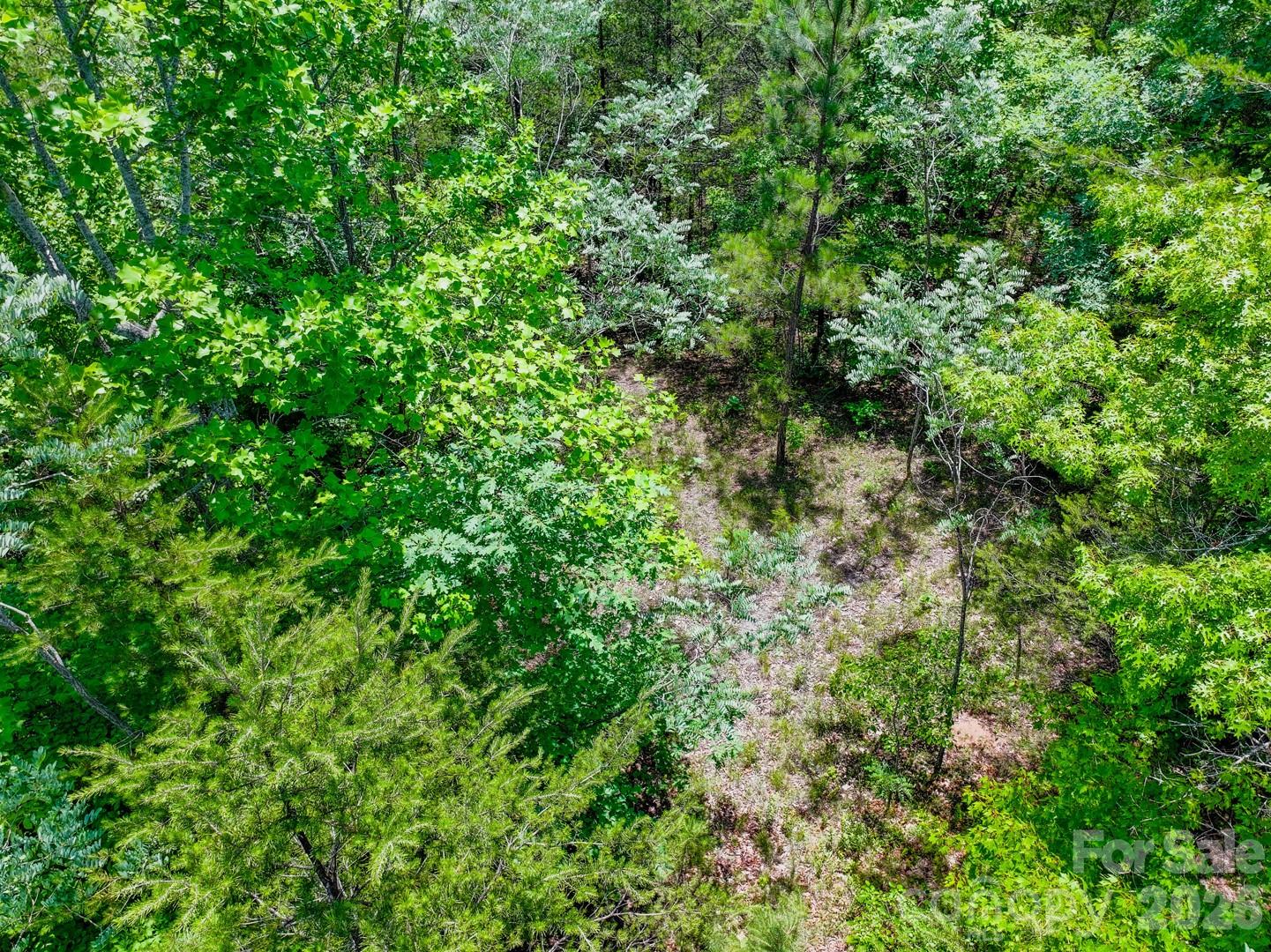 121 Jobes Trail, Unit 35 Mill Spring, NC 28756 - Photo 12 of 20