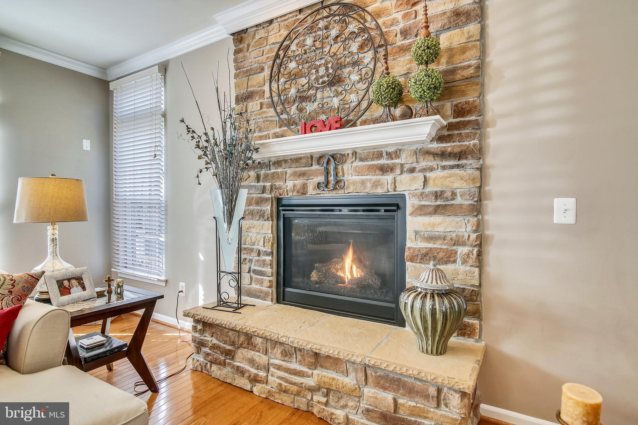 4537 Spring Run Road Warrenton, VA 20187 - Photo 16 of 68 Upgraded floor to ceiling FP w/accent lighting