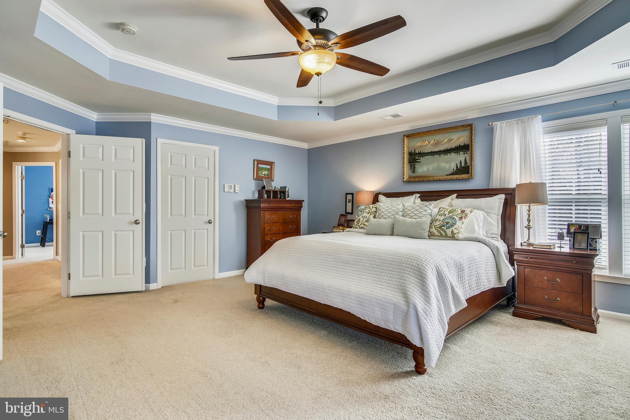 4537 Spring Run Road Warrenton, VA 20187 - Photo 31 of 68 Master suite with tray ceiling and views of trees