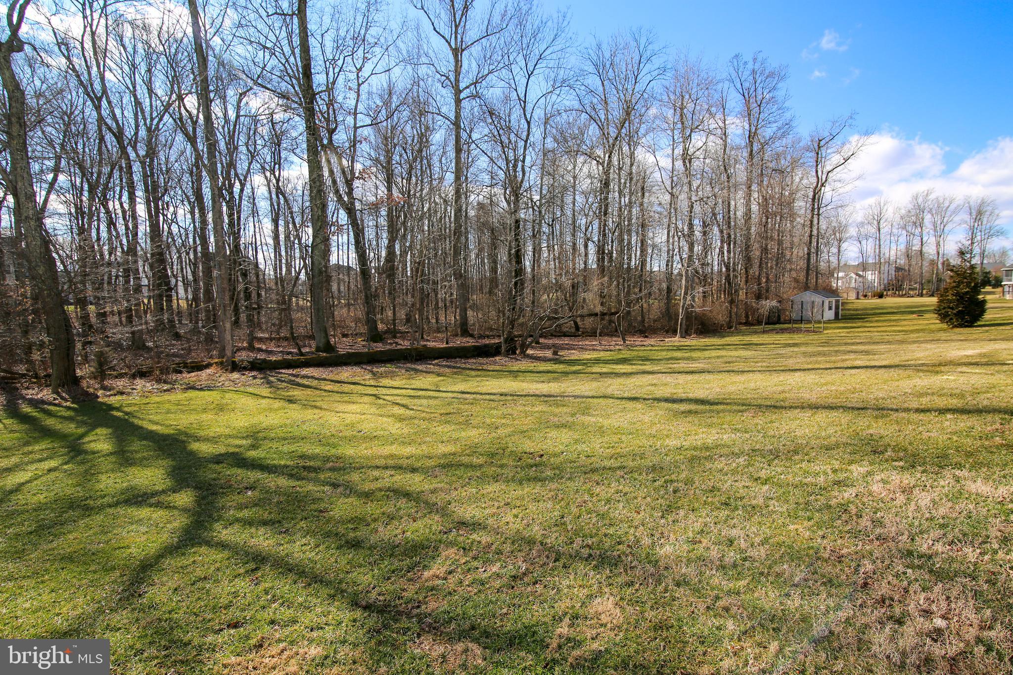 4537 Spring Run Road Warrenton, VA 20187 - Photo 6 of 68 The level .577 ac lot backs to a 1 acre tree save!