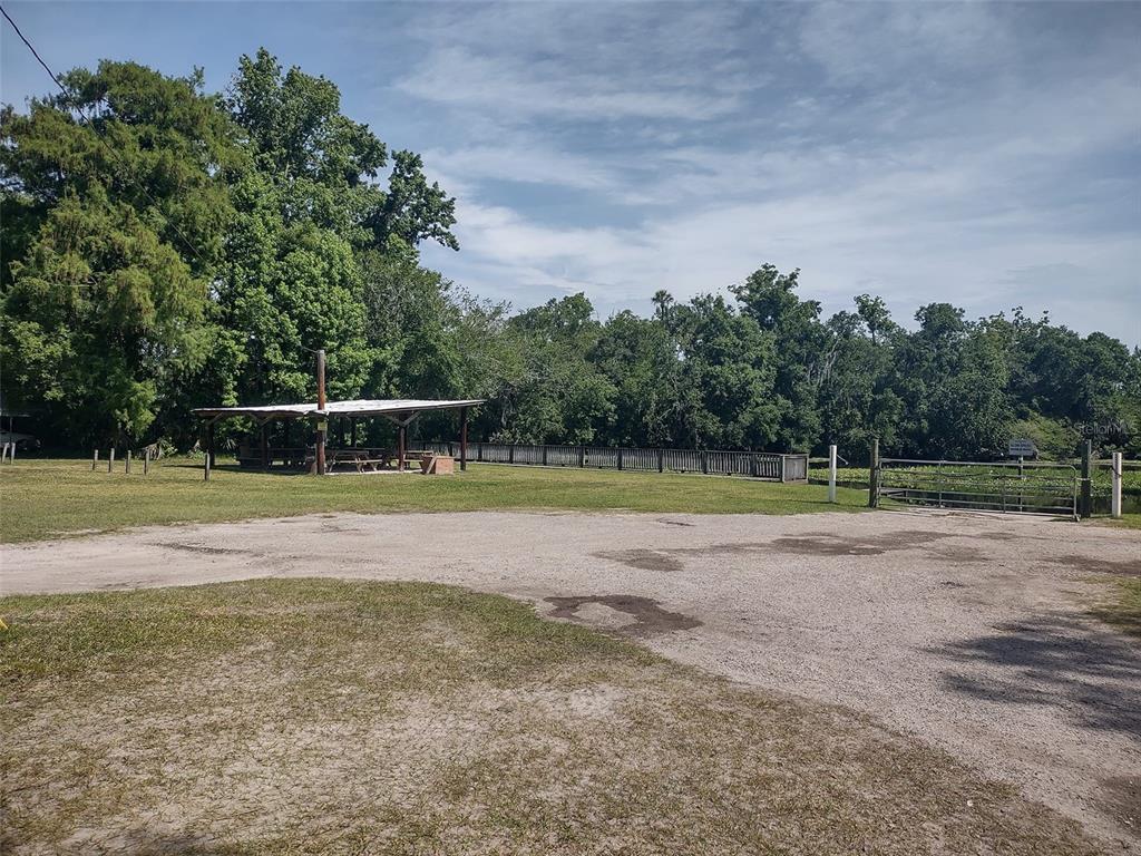 56508 Blue Creek Road Astor, FL 32102 - Photo 9 of 59