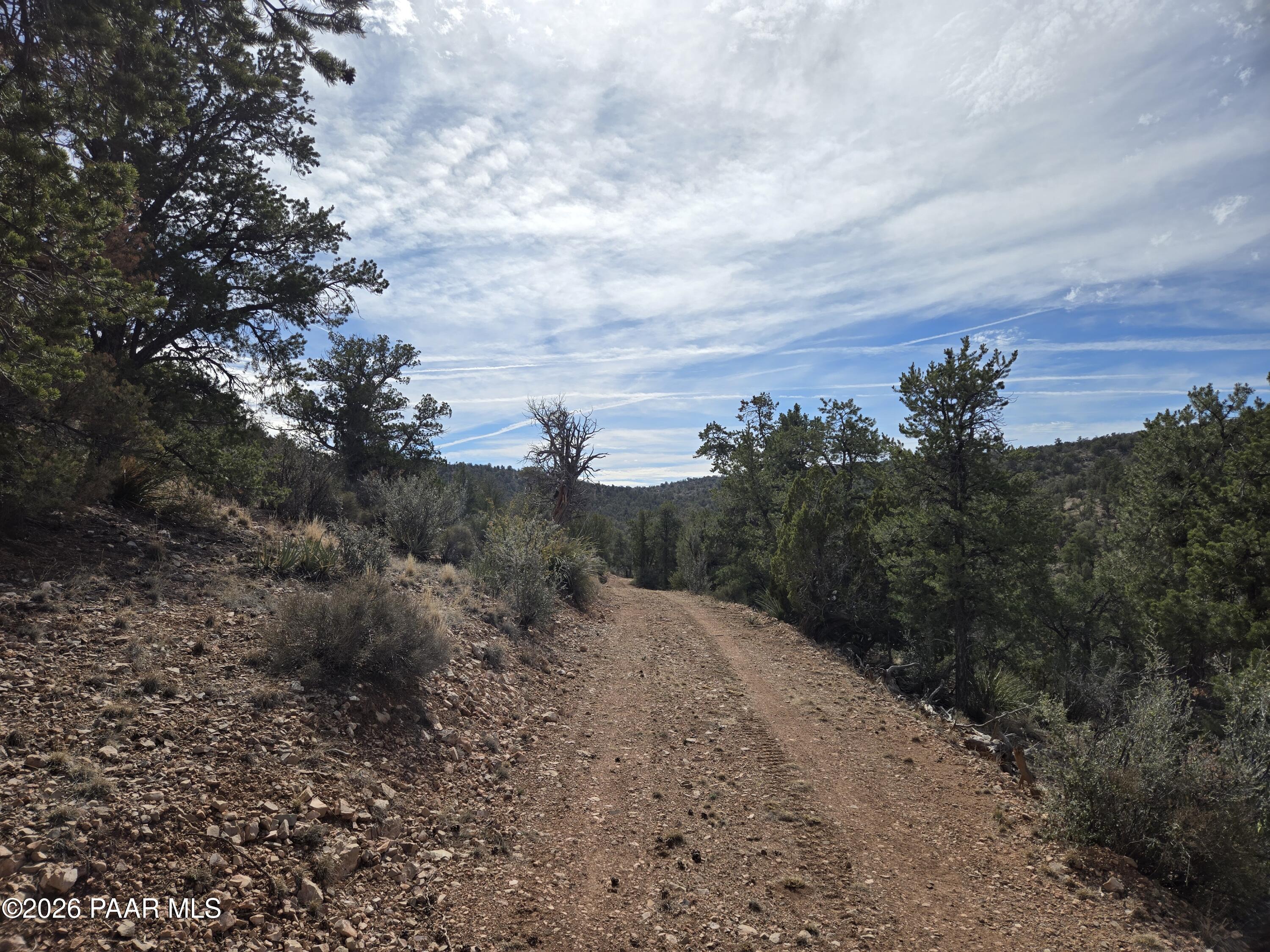 38125 North Snake Road Ash Fork, AZ 86320 - Photo 25 of 34 a view of a pathway with a yard