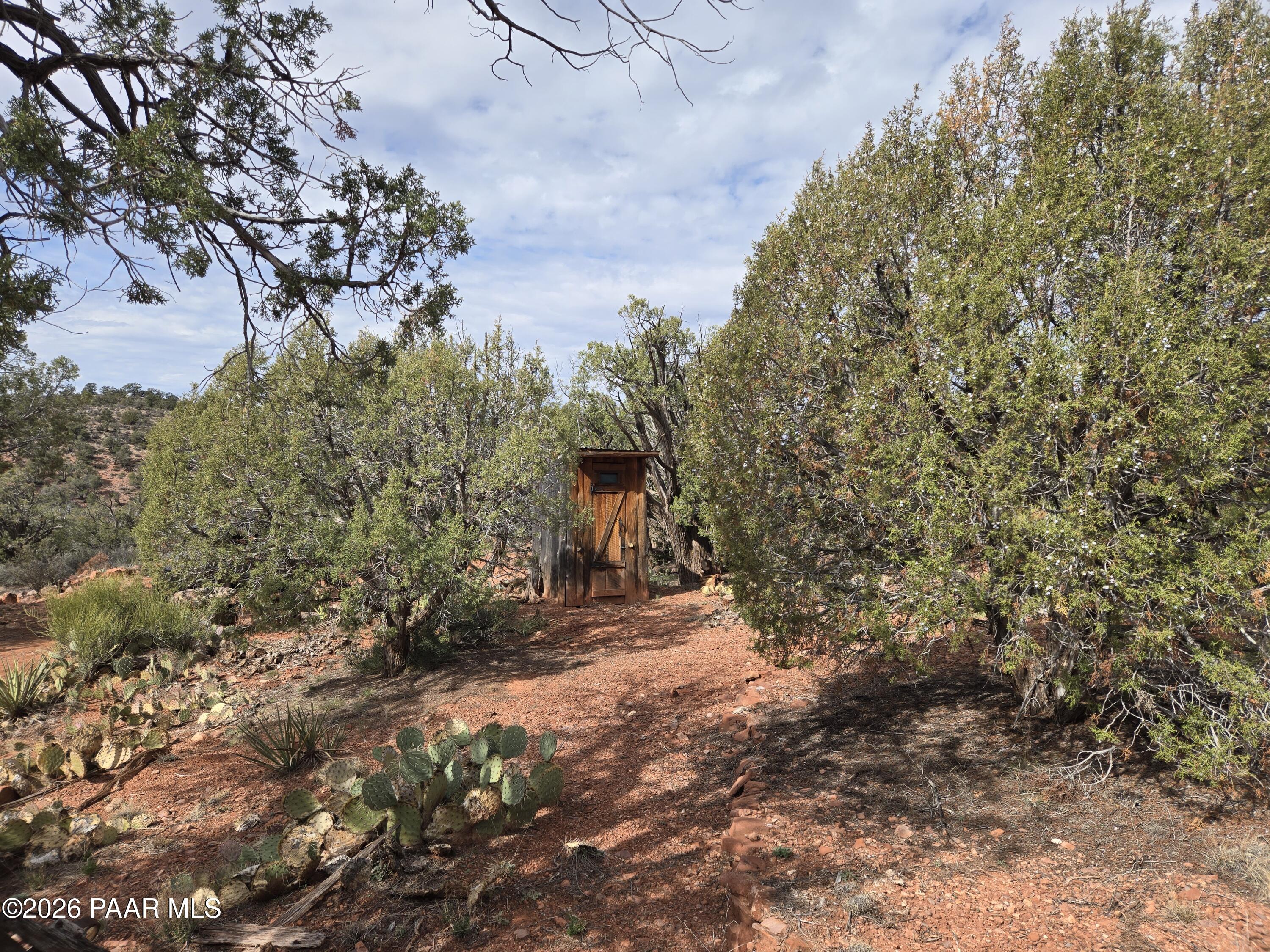 38125 North Snake Road Ash Fork, AZ 86320 - Photo 10 of 34 a view of a forest with trees in the background