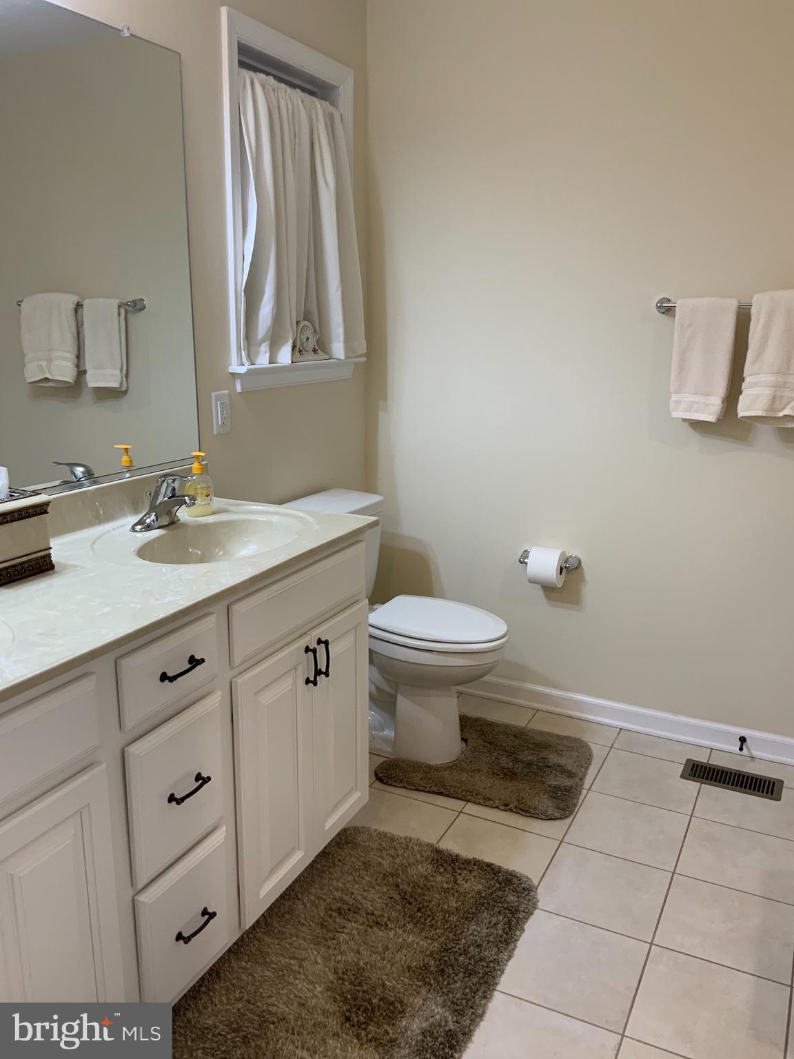 123 Reprisal Road Inwood, WV 25428 - Photo 28 of 64 Master Bathroom w/Double Sinks