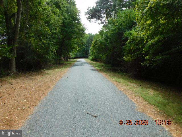 100 Roland Parks Road Chance, MD 21821 - Photo 2 of 7 Road