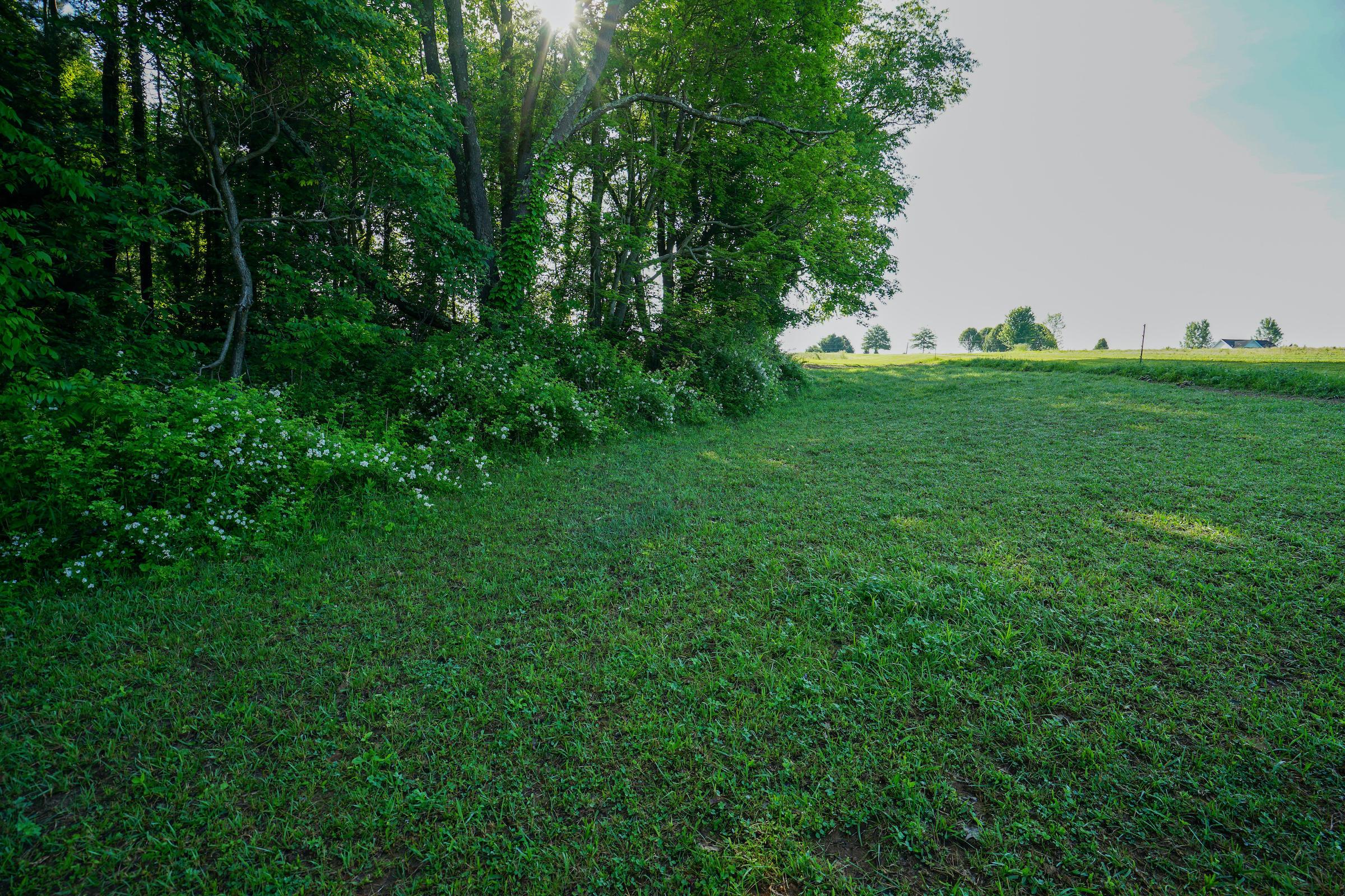 9640 Guys Road New Concord, OH 43762 - Photo 21 of 48