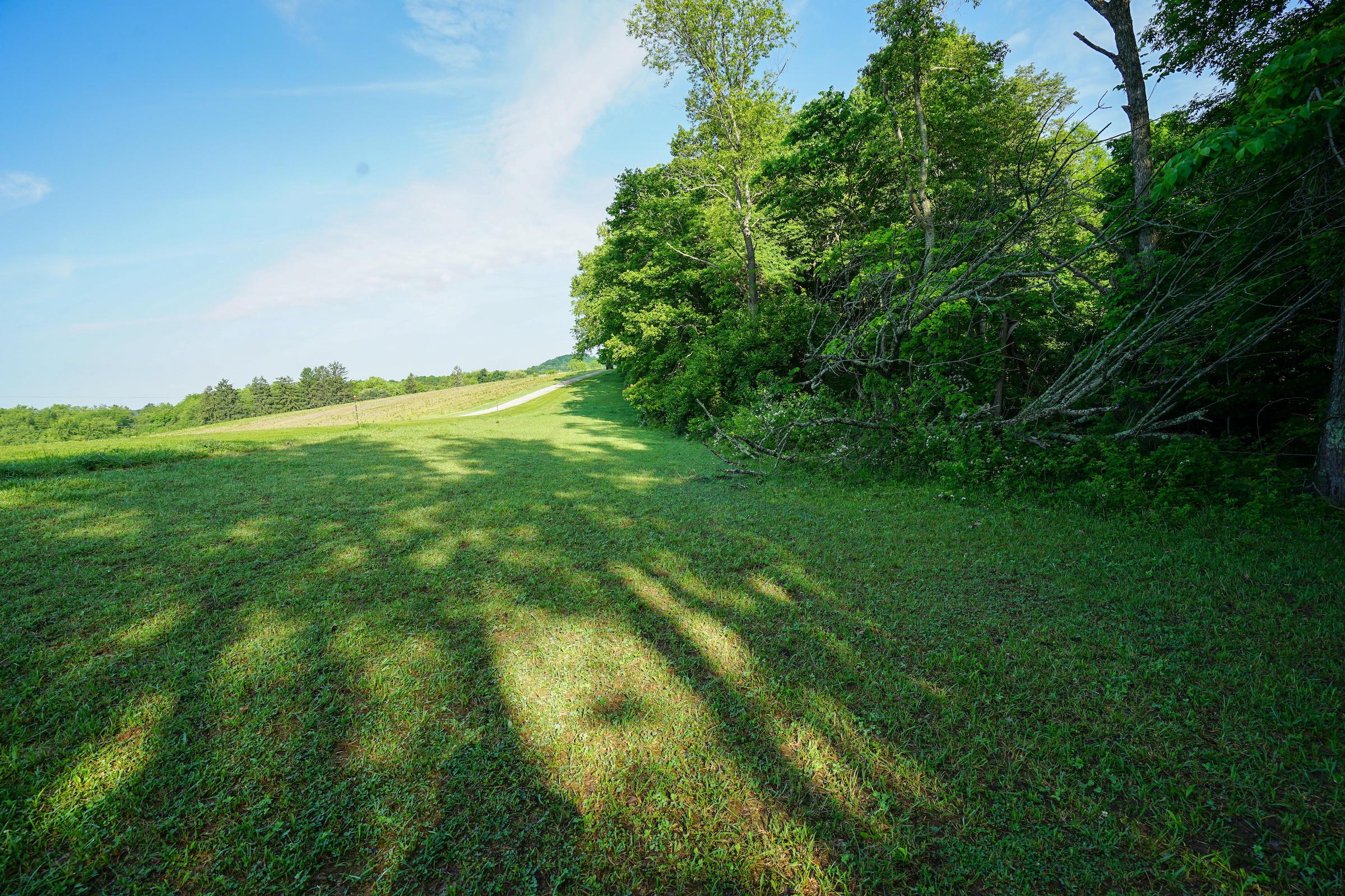 9640 Guys Road New Concord, OH 43762 - Photo 22 of 48