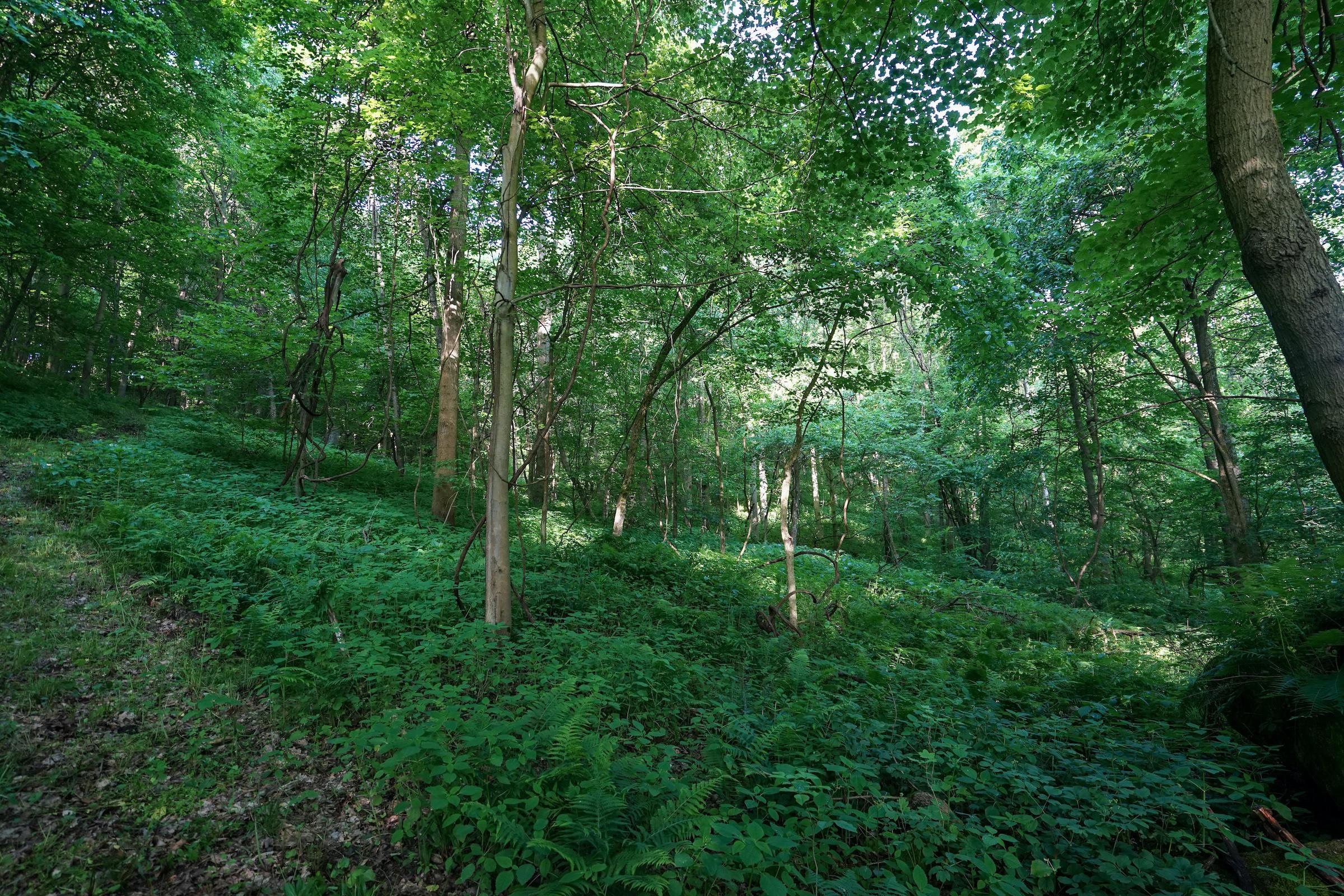 9640 Guys Road New Concord, OH 43762 - Photo 10 of 48