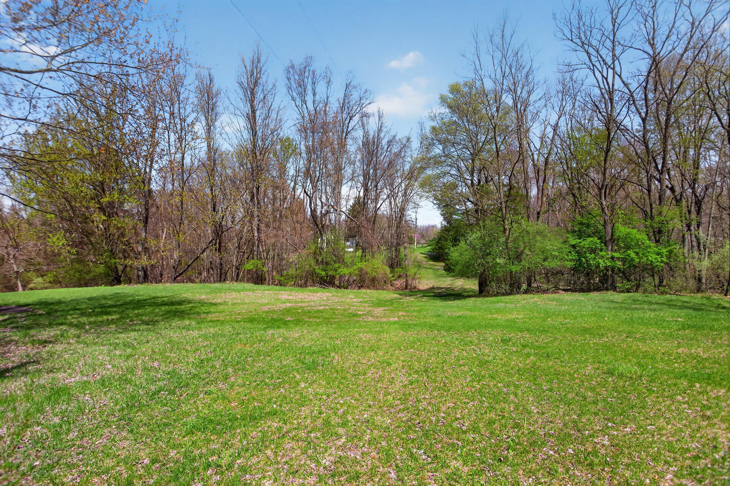 1865 Lindsey Road Clarklake, MI 49234 - Photo 50 of 70 093_0N0A4887