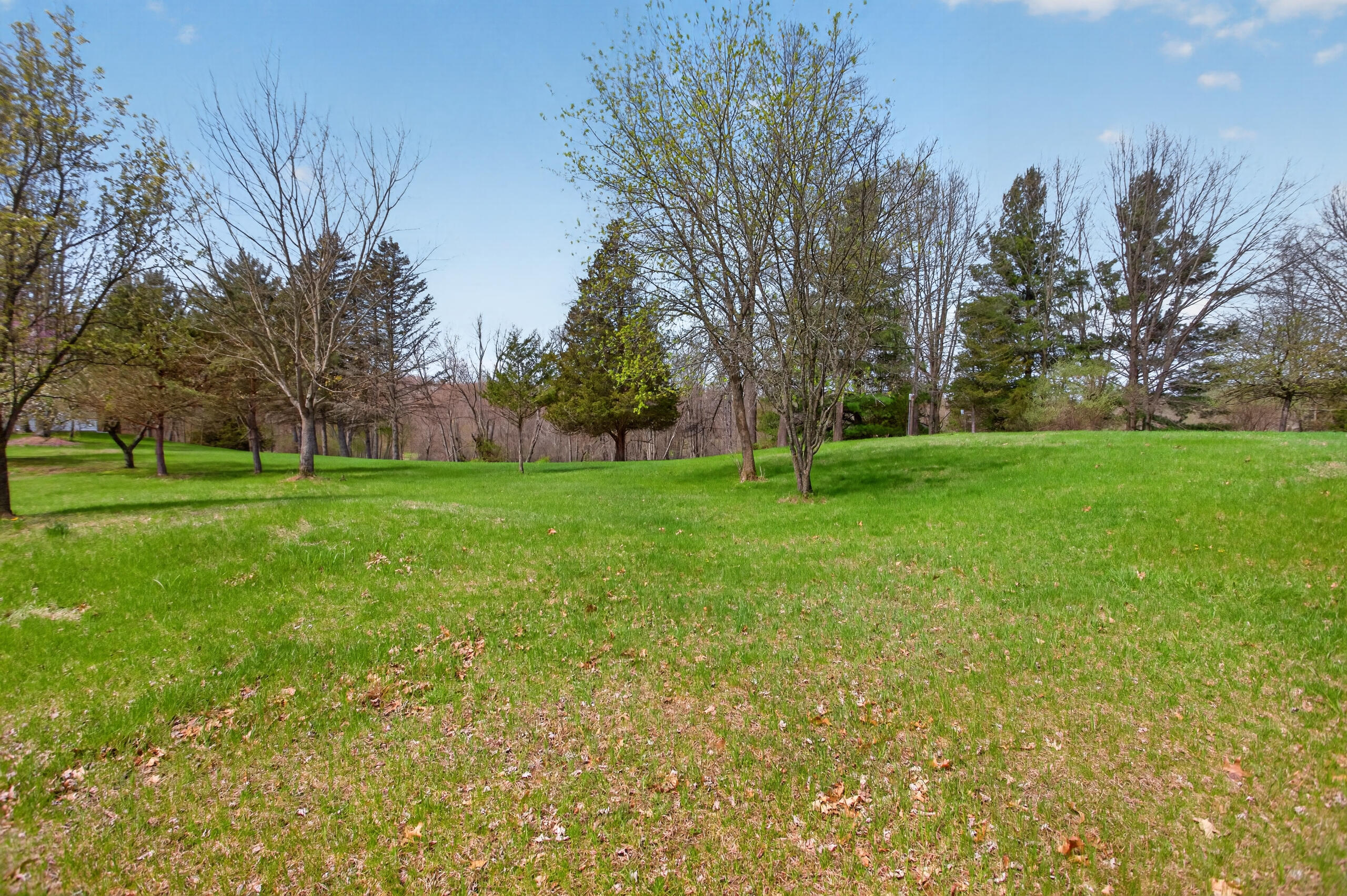 1865 Lindsey Road Clarklake, MI 49234 - Photo 65 of 70 003_0N0A4614