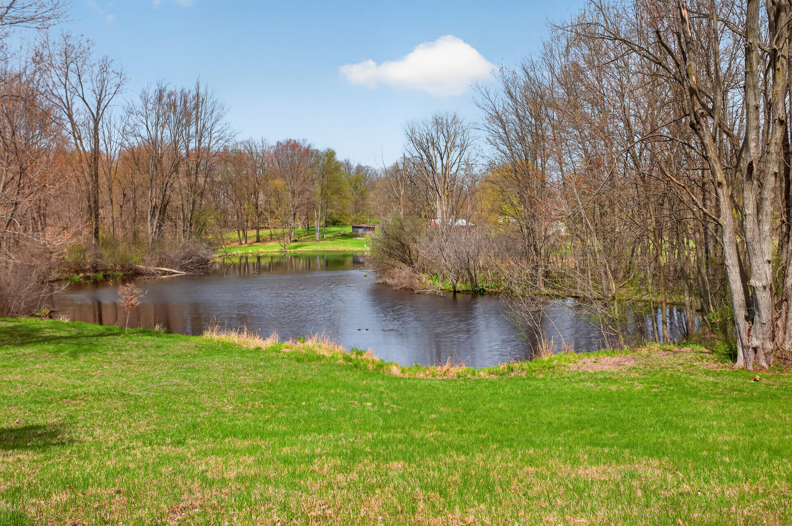 1865 Lindsey Road Clarklake, MI 49234 - Photo 68 of 70 021_0N0A4672