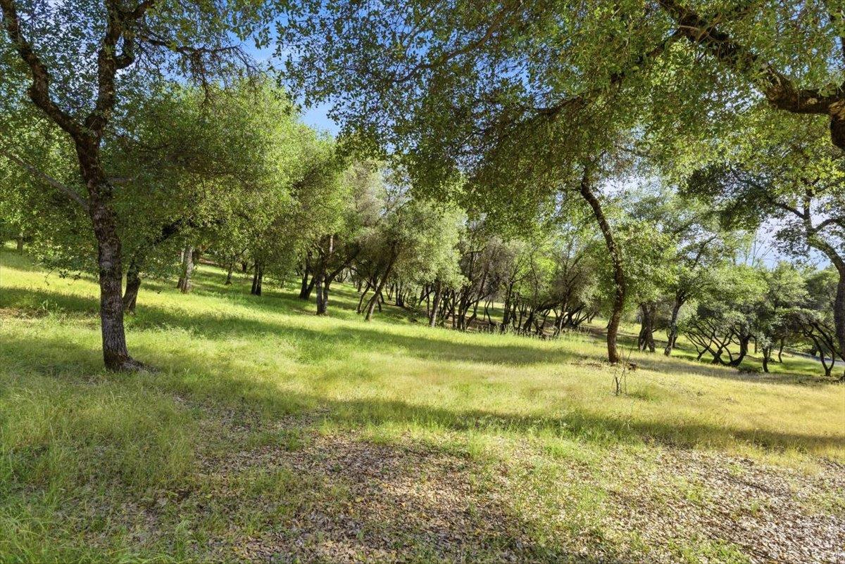 12531 Lowhills Road Nevada City, CA 95959 - Photo 83 of 92
