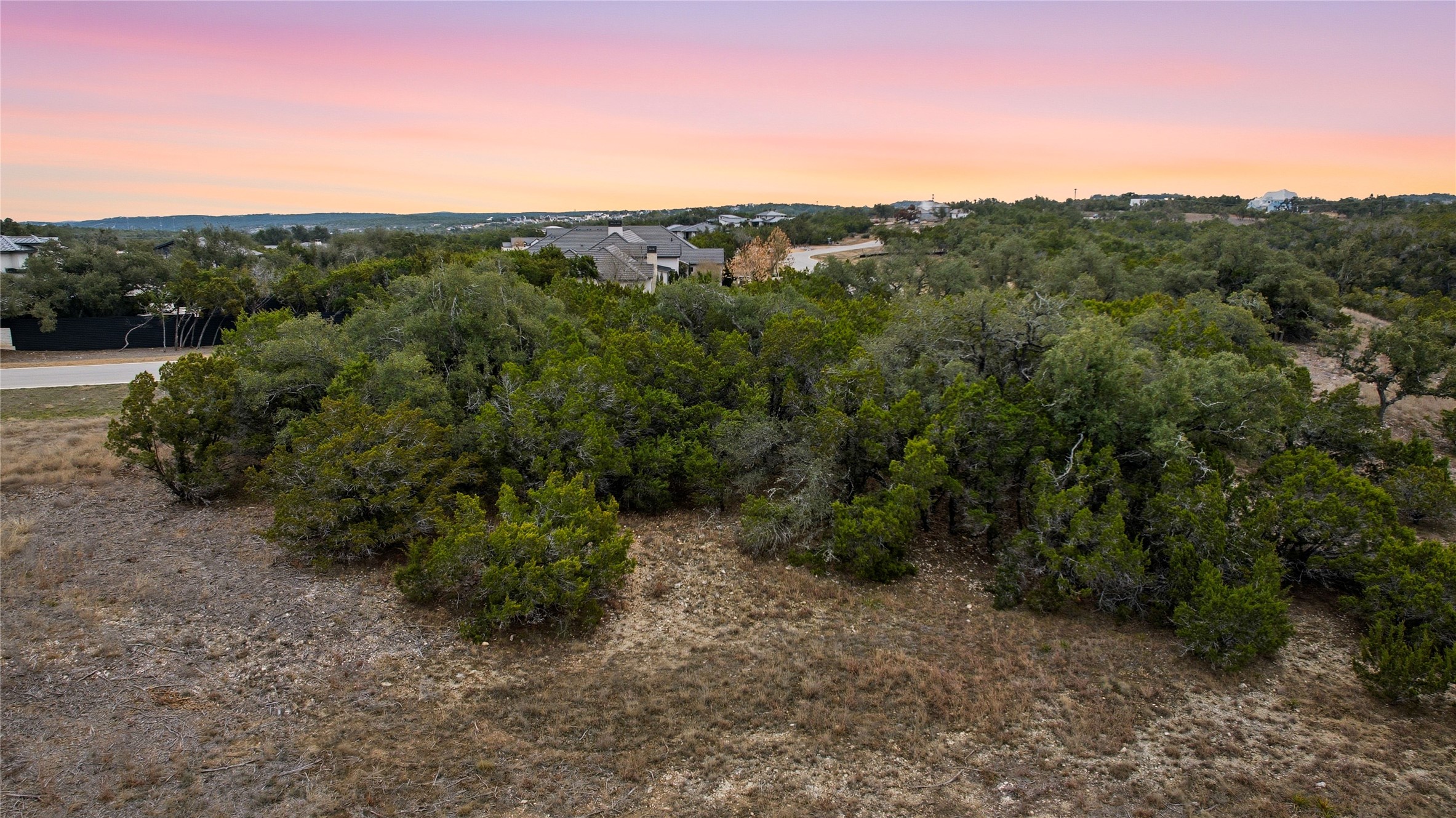 6204 Madrone Tree Lane Austin, TX 78738 - Photo 8 of 14 a view of a forest with a street