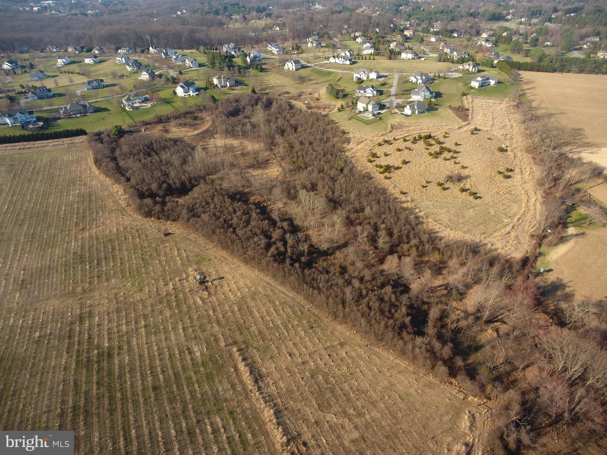 13701 Blenheim Road North Phoenix, MD 21131 - Photo 4 of 8