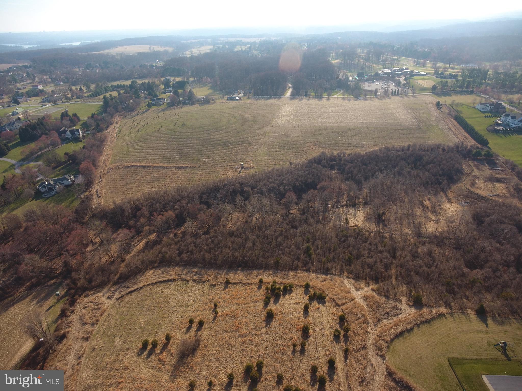 13701 Blenheim Road North Phoenix, MD 21131 - Photo 5 of 8