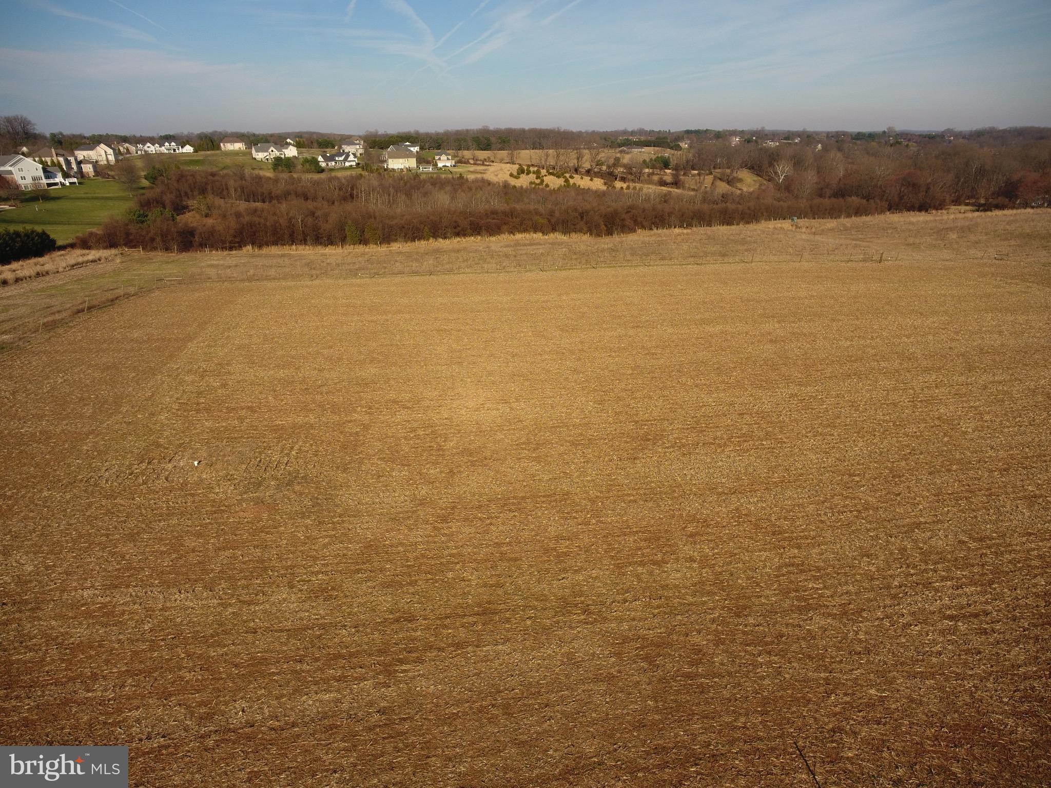 13701 Blenheim Road North Phoenix, MD 21131 - Photo 8 of 8