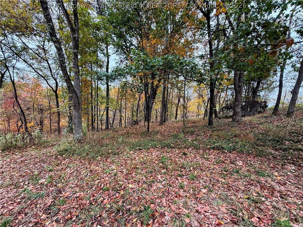 15374 Redmond Ridge Road Gallipolis Ferry, WV 25515 - Photo 9 of 16 Gallery Image 9