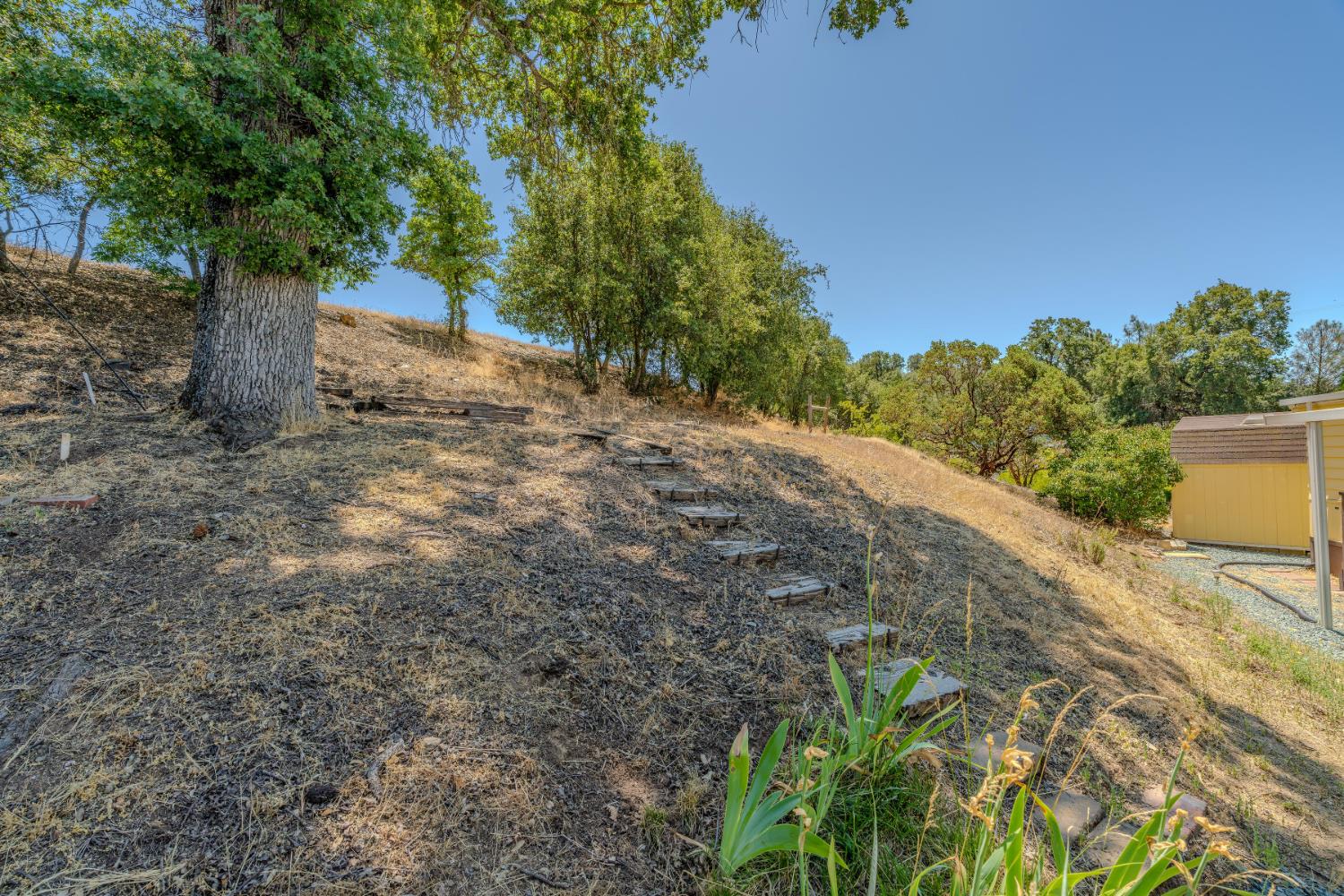 150 Clinton Road, Unit 17 Jackson, CA 95642 - Photo 41 of 51