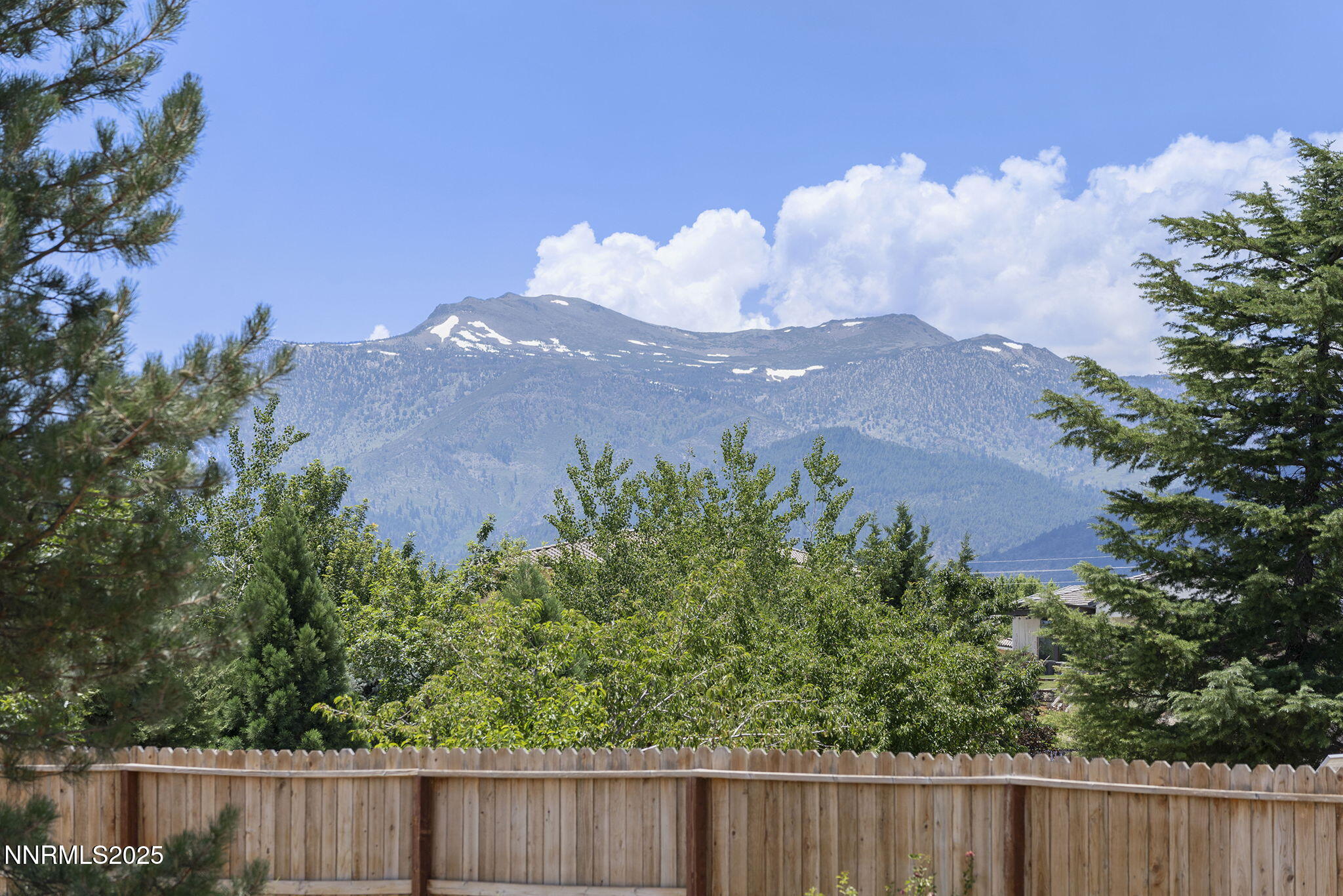 1060 Flanders Road Reno, NV 89511 - Photo 27 of 33 33-web-or-mls-_DSC0323