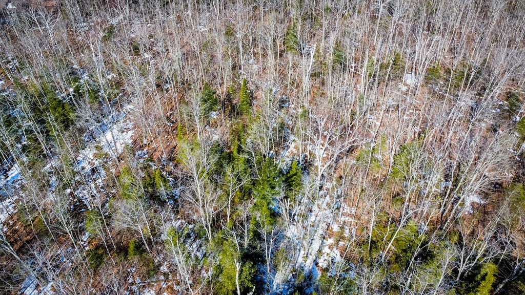 County Road Baileys Harbor, WI 54202 - Photo 8 of 11